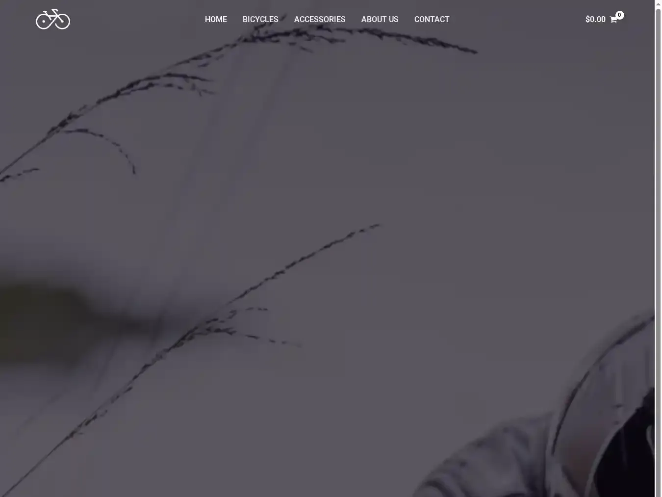Bikersinventory.com Fraudulent Non-Delivery website.