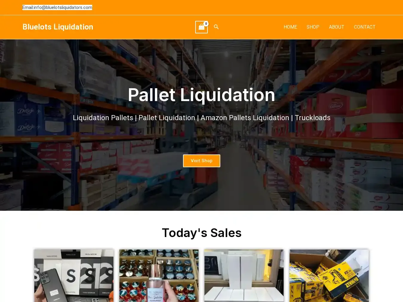 Bluelotsliquidators.com Fraudulent Liquidation website.