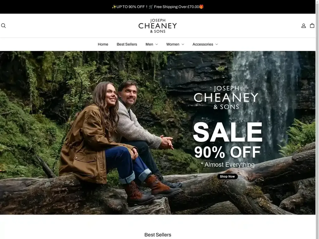 Screenshot of Cheaneyfactory.shop taken on Tuesday the 17th of December 2024