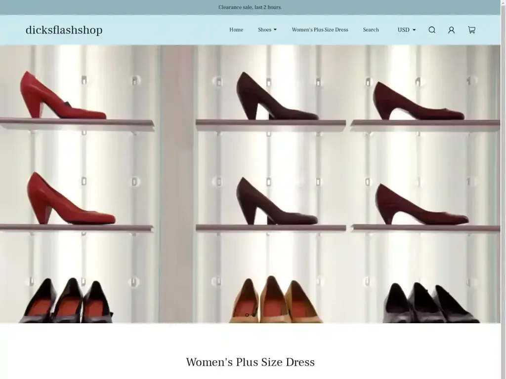 Screenshot of Dicksflashshop.com taken on Thursday the 19th of September 2024