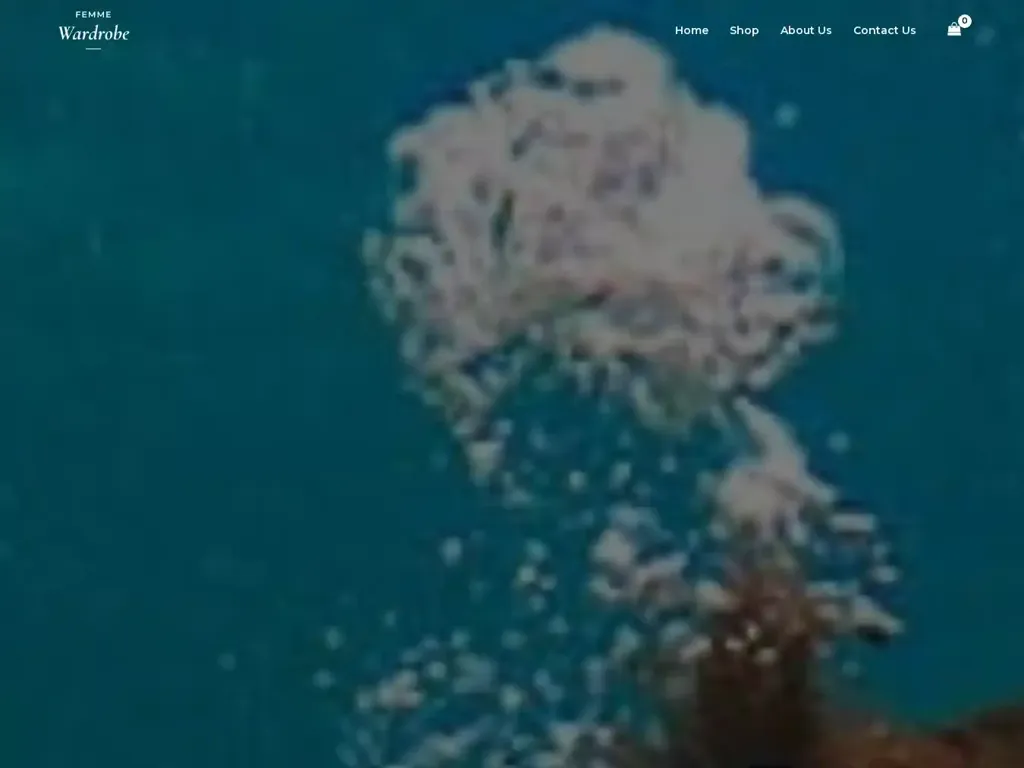 Screenshot of Divinggearworld.com taken on Wednesday the 24th of April 2024