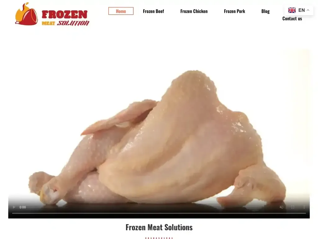Screenshot of Frozenmeatsolutions.com taken on Thursday the 29th of February 2024