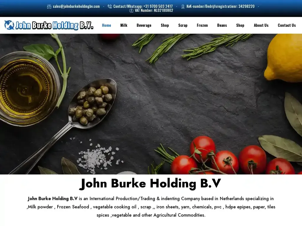 Screenshot of Johnburkeholdingbv.com taken on Thursday the 4th of January 2024