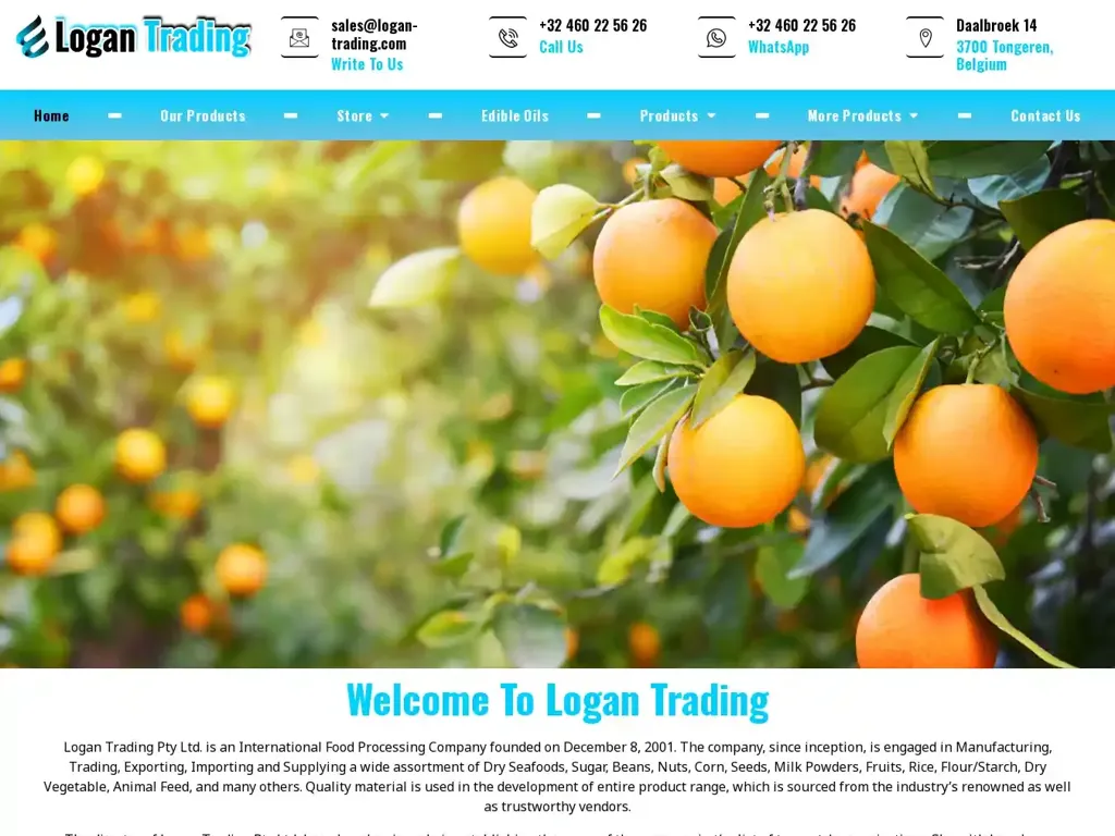 Screenshot of Logan-trading.com taken on Thursday the 4th of January 2024