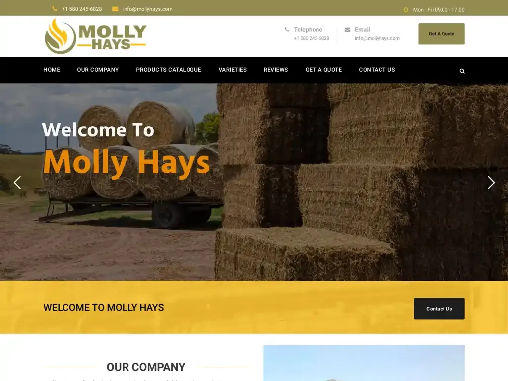 Screenshot of Mollyhays.com taken on Thursday the 4th of January 2024