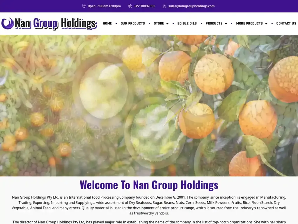 Screenshot of Nangroupholdings.com taken on Wednesday the 3rd of January 2024