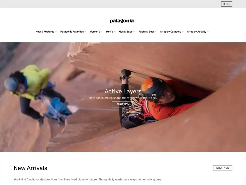 Screenshot of Patagoniaeushop.top taken on Friday the 15th of March 2024