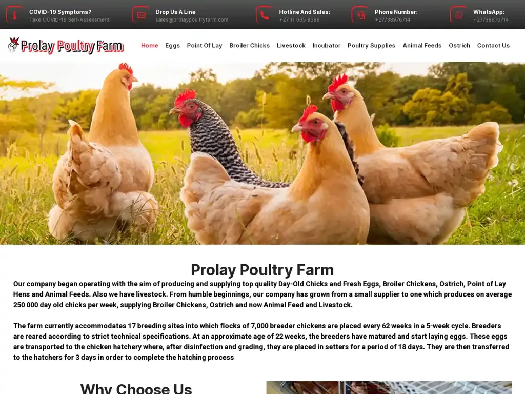 Screenshot of Prolaypoultryfarm.com taken on Wednesday the 3rd of January 2024