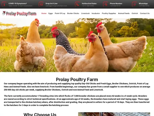 Prolaypoultryfarm.com