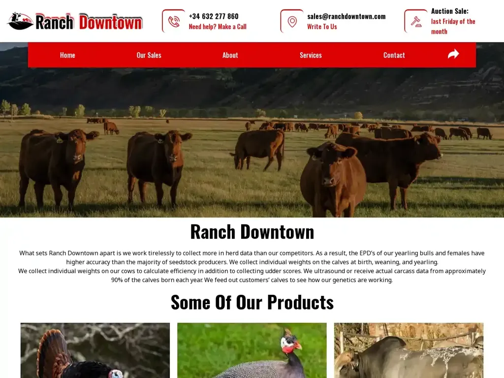 Screenshot of Ranchdowntown.com taken on Wednesday the 3rd of January 2024