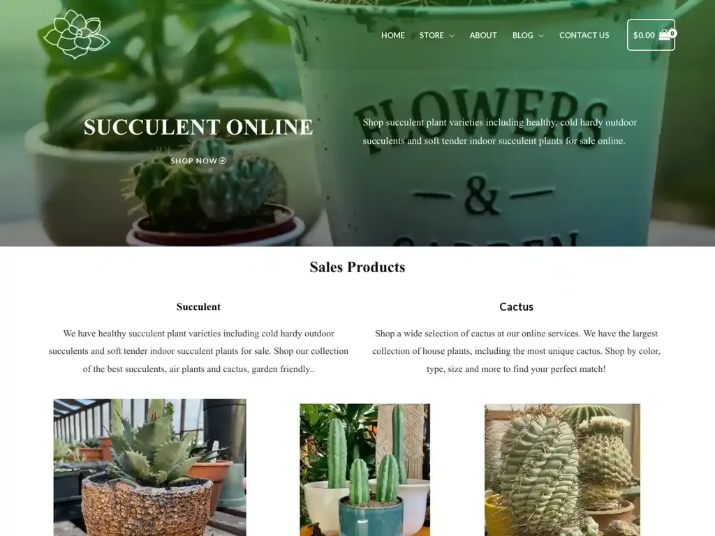 Screenshot of Succulentplanter.net taken on Wednesday the 3rd of January 2024