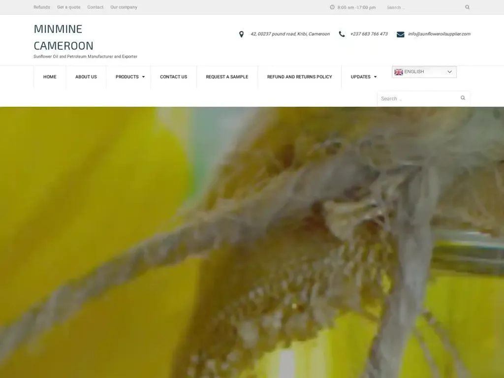 Screenshot of Sunfloweroilsupplier.com taken on Thursday the 4th of January 2024