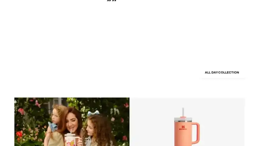 Screenshot of Non-Delivery scam website 1913stanley.shop