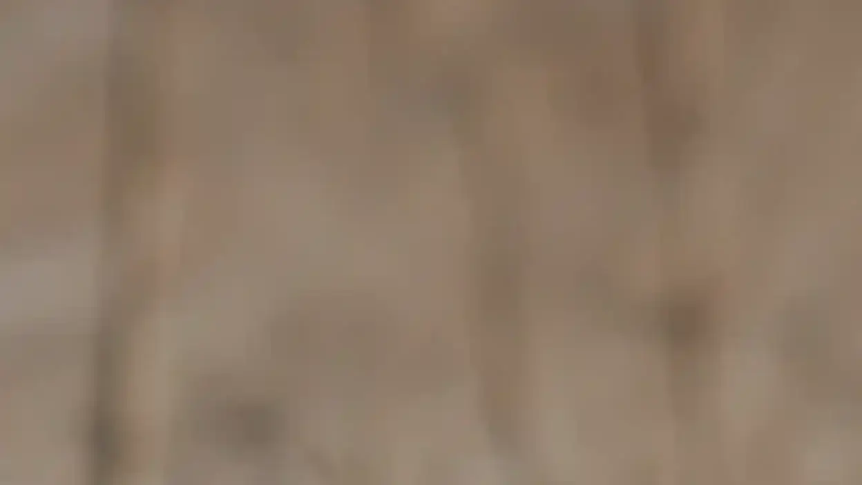 Screenshot of Non-Delivery scam website 3hpalmproducts.com