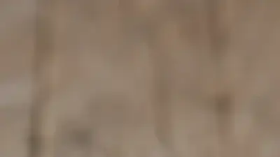 Screenshot of Non-Delivery scam website 3hpalmproducts.com