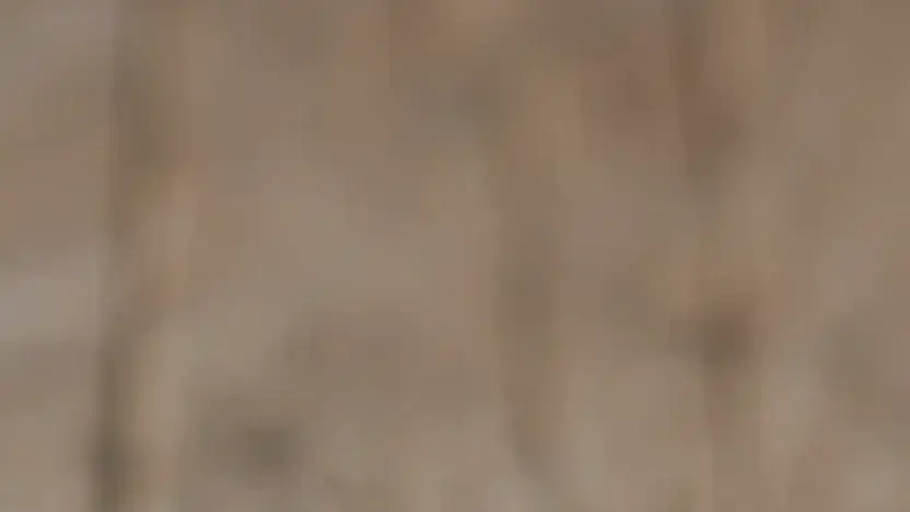 Screenshot of Non-Delivery scam website 3hpalmproducts.com