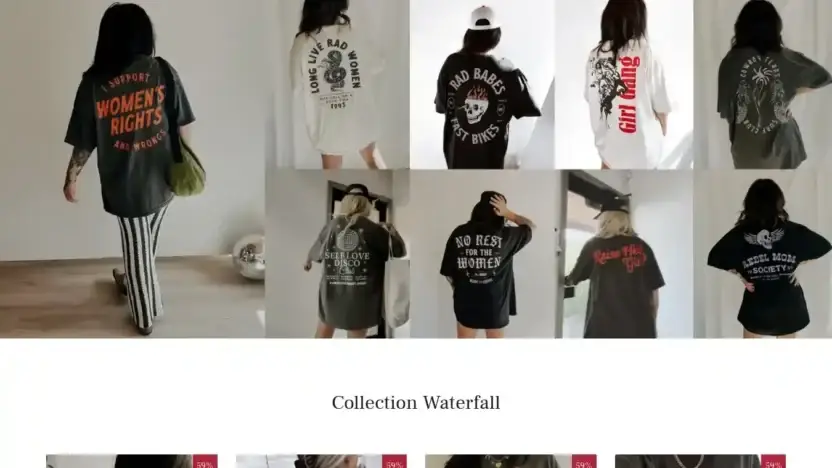 Screenshot of Non-Delivery scam website Absorbvt.shop