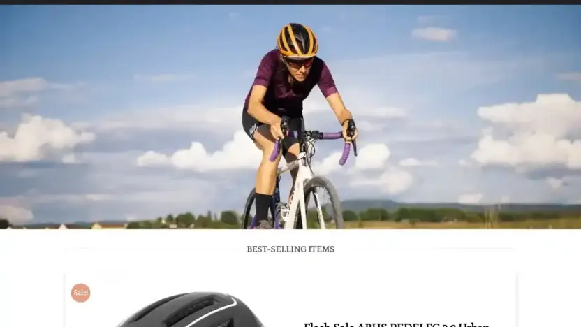 Screenshot of Non-Delivery scam website Abusbikesale.com