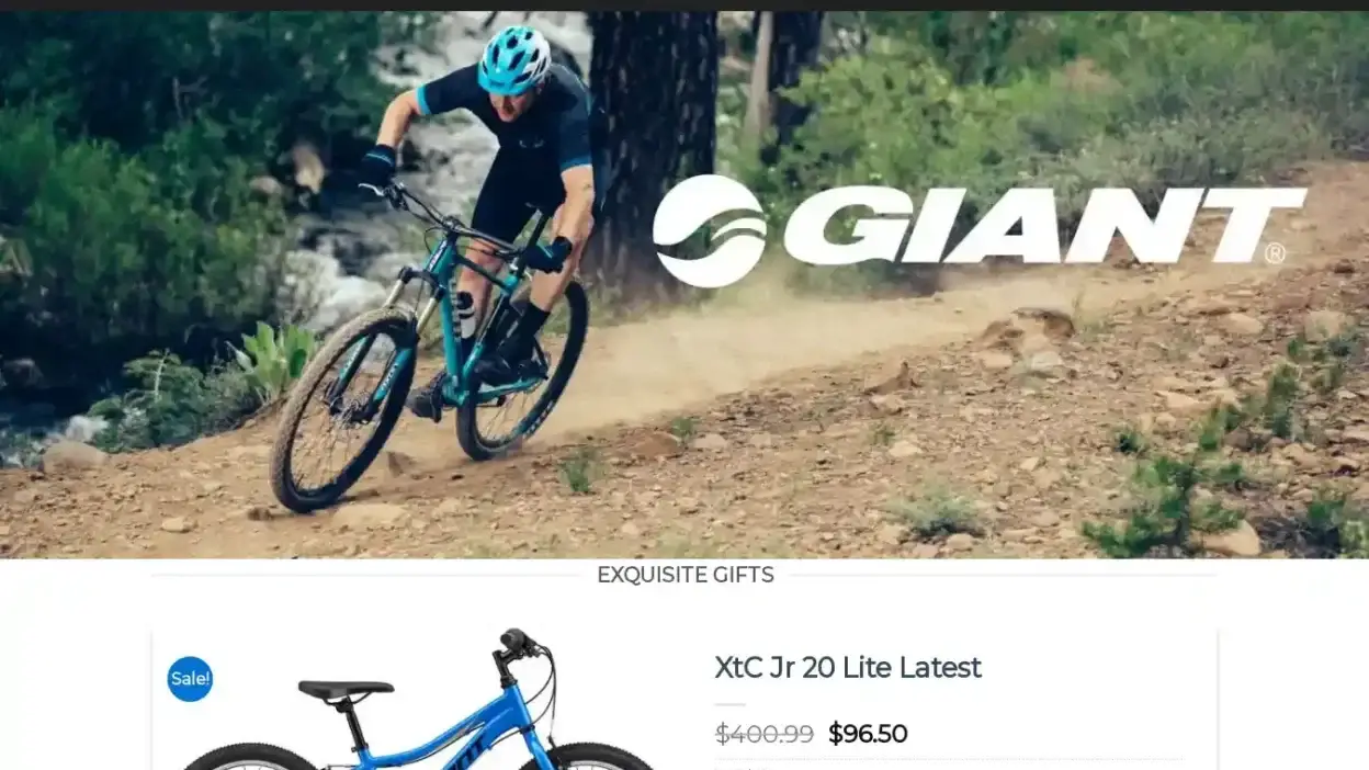 Screenshot of Sport scam website Acebicycleopt.com