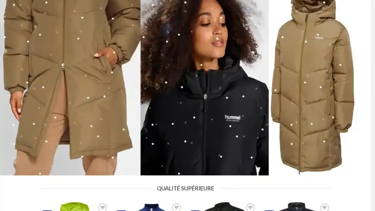 Screenshot of Non-Delivery scam website Achatsports.com