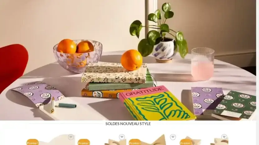 Screenshot of Non-Delivery scam website Activitesfr.com