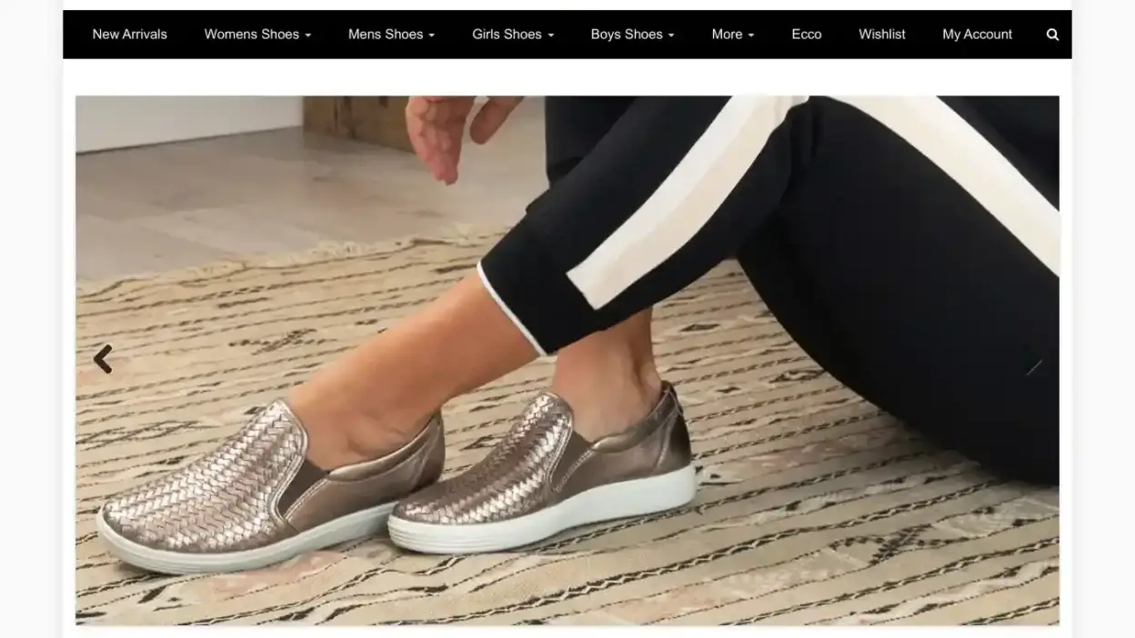 Screenshot of Non-Delivery scam website Adriannetrends.com