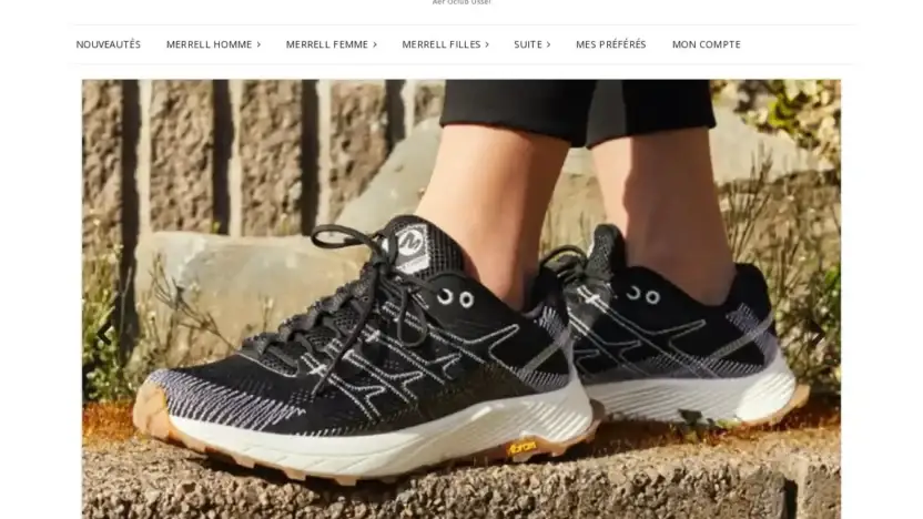 Screenshot of Non-Delivery scam website Aeroclub-ussel.fr