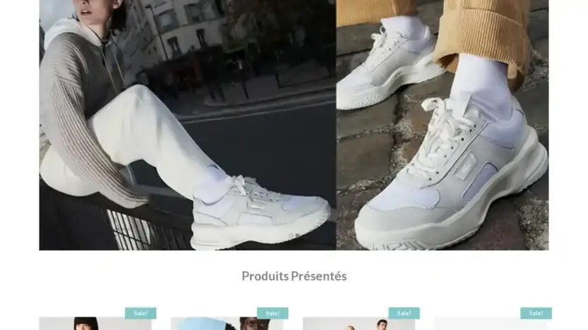 Screenshot of Non-Delivery scam website Afsanehmoharer.com