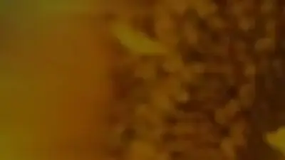 Screenshot of Non-Delivery scam website Agrisourcecoltd.com