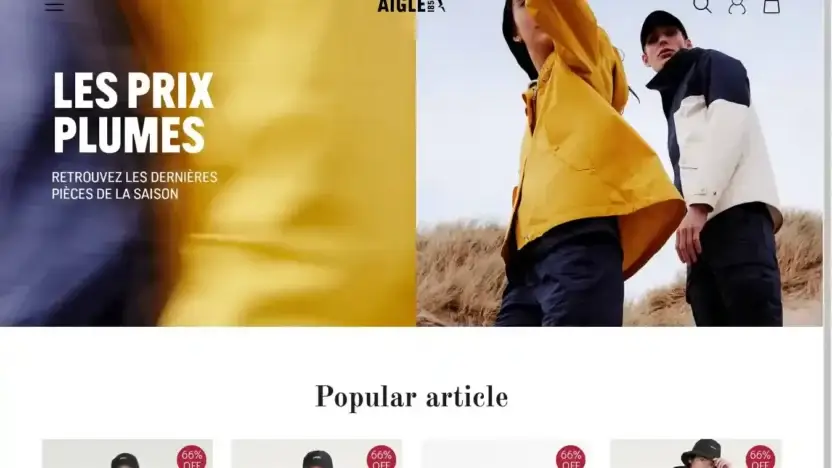 Screenshot of Non-Delivery scam website Aigleonline.shop