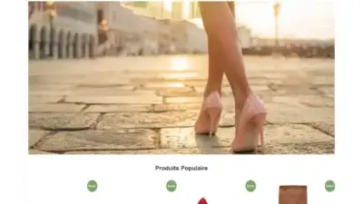 Screenshot of Non-Delivery scam website Alainboucault.com