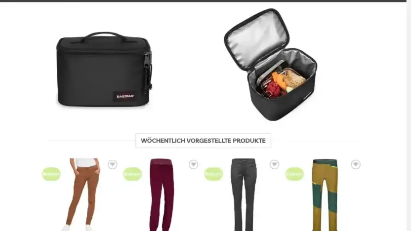 Screenshot of Non-Delivery scam website Alleskiing.com