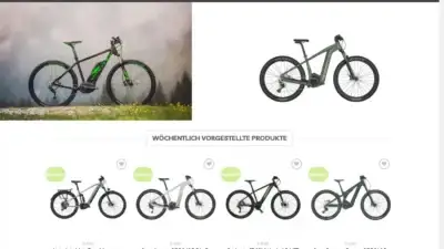 Screenshot of Non-Delivery scam website Allesportwebsite.com