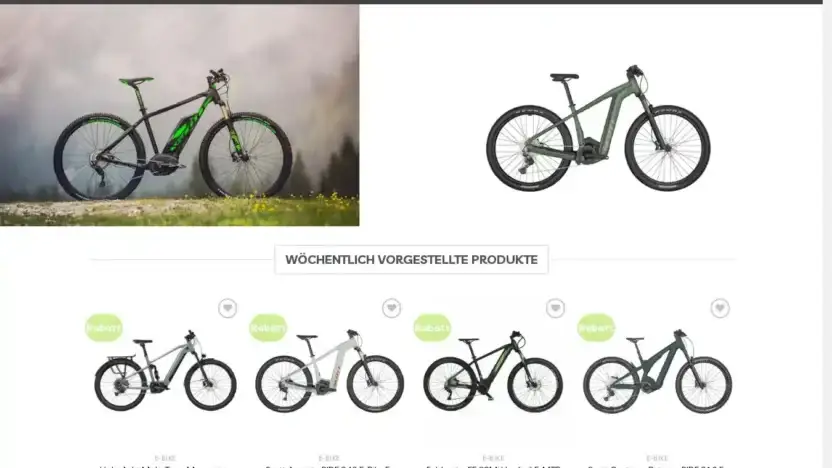 Screenshot of Non-Delivery scam website Allesportwebsite.com