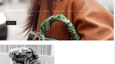 Screenshot of Non-Delivery scam website Ambags.shop