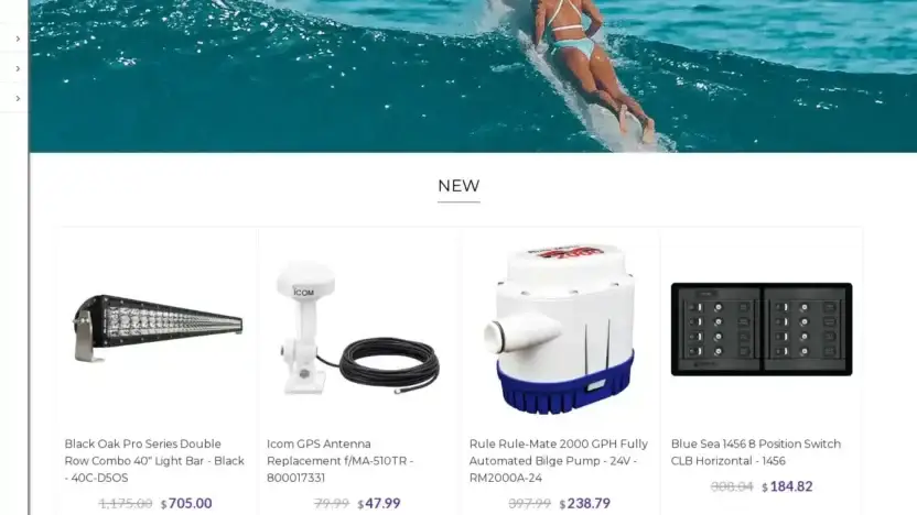 Screenshot of Non-Delivery scam website Anchorexpress.shop