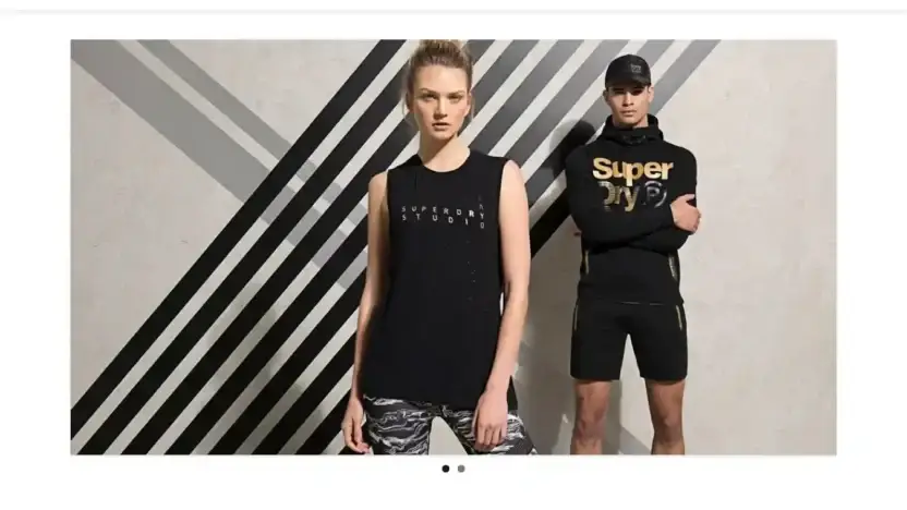 Screenshot of Non-Delivery scam website Anettreiersen.com