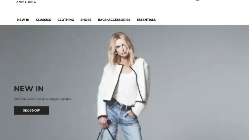 Screenshot of Non-Delivery scam website Aninebingshopping.com