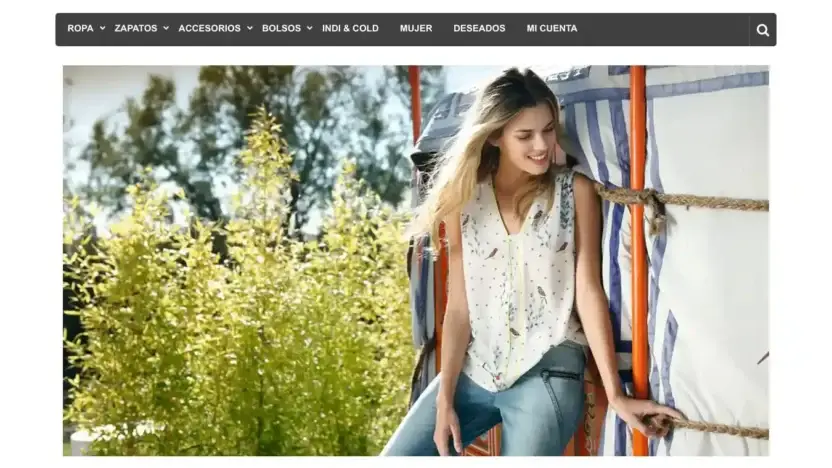 Screenshot of Non-Delivery scam website Anitawittmann.com