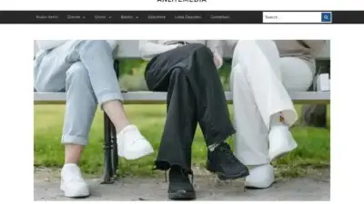 Screenshot of Non-Delivery scam website Anlitemedia.com