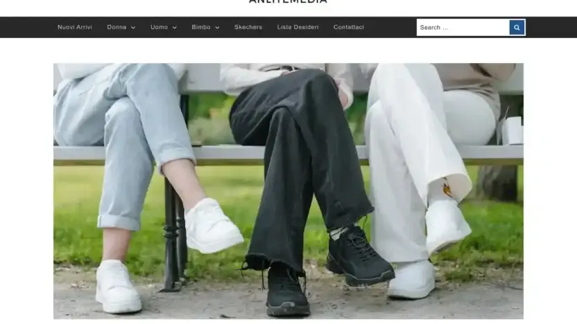 Screenshot of Non-Delivery scam website Anlitemedia.com