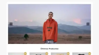 Screenshot of Non-Delivery scam website Annalenamair.com