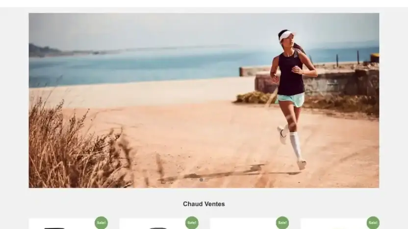 Screenshot of Non-Delivery scam website Annesophiebarel.com