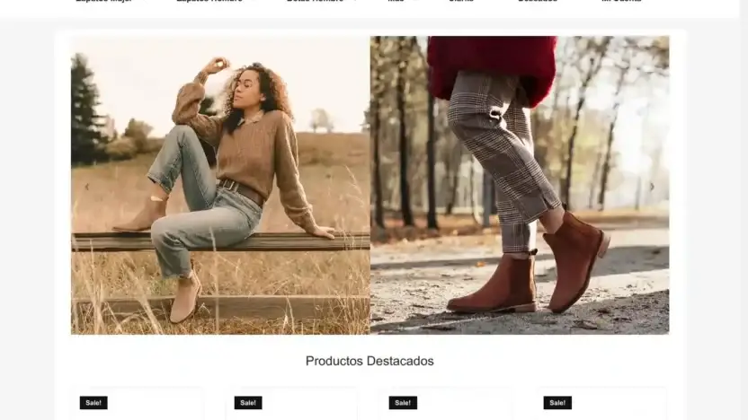 Screenshot of Non-Delivery scam website Annikasandberg.com