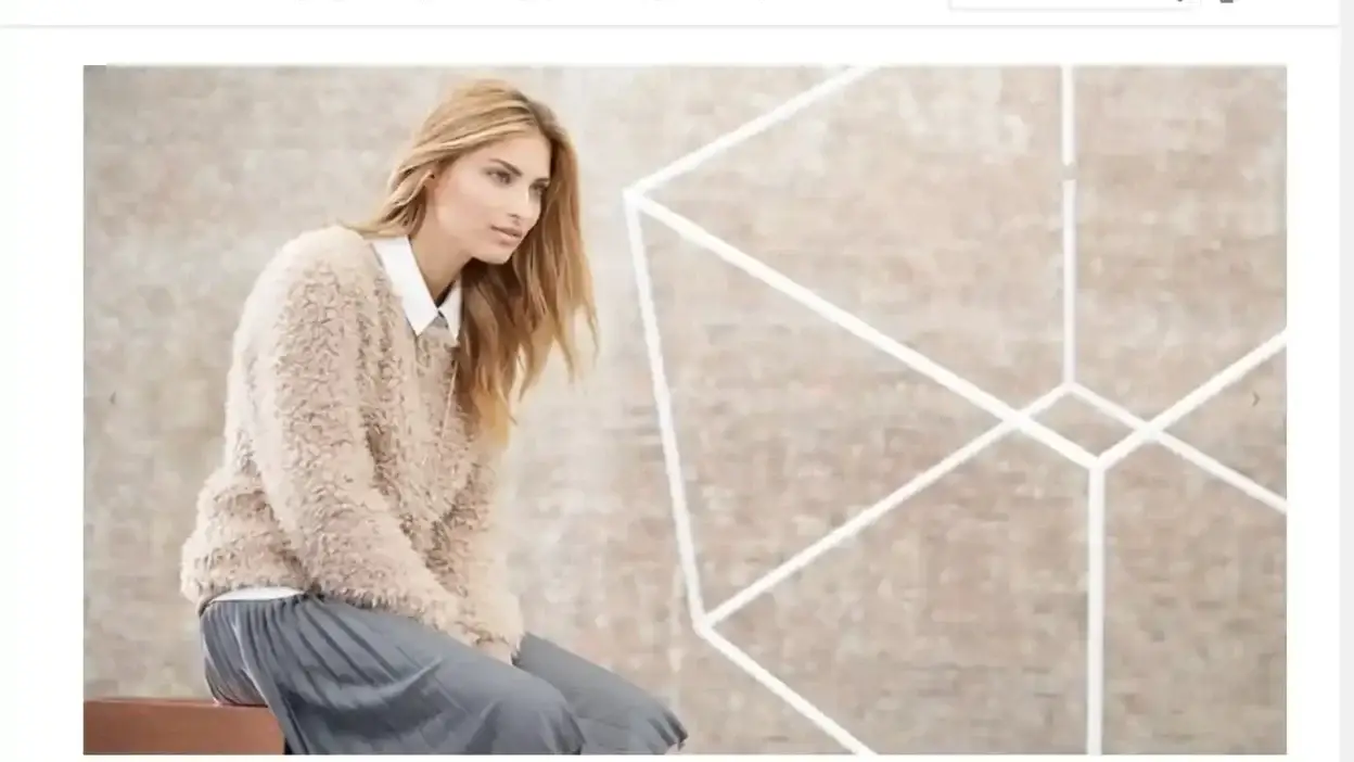 Screenshot of Non-Delivery scam website Annreneebrian.com