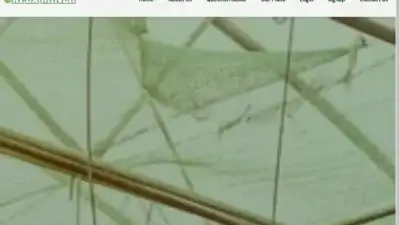 Screenshot of Non-Delivery scam website Apex-miner.live