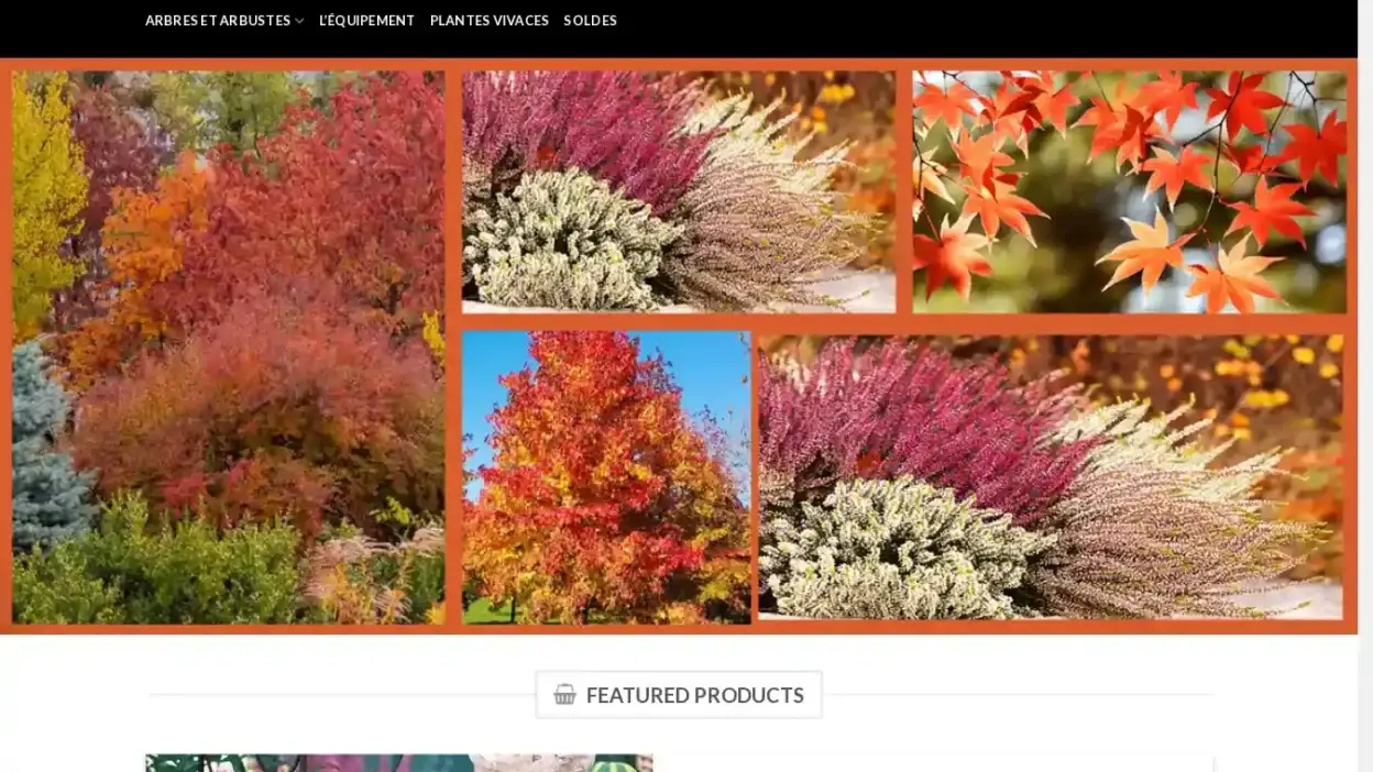 Screenshot of Non-Delivery scam website Arbresarbustes.com