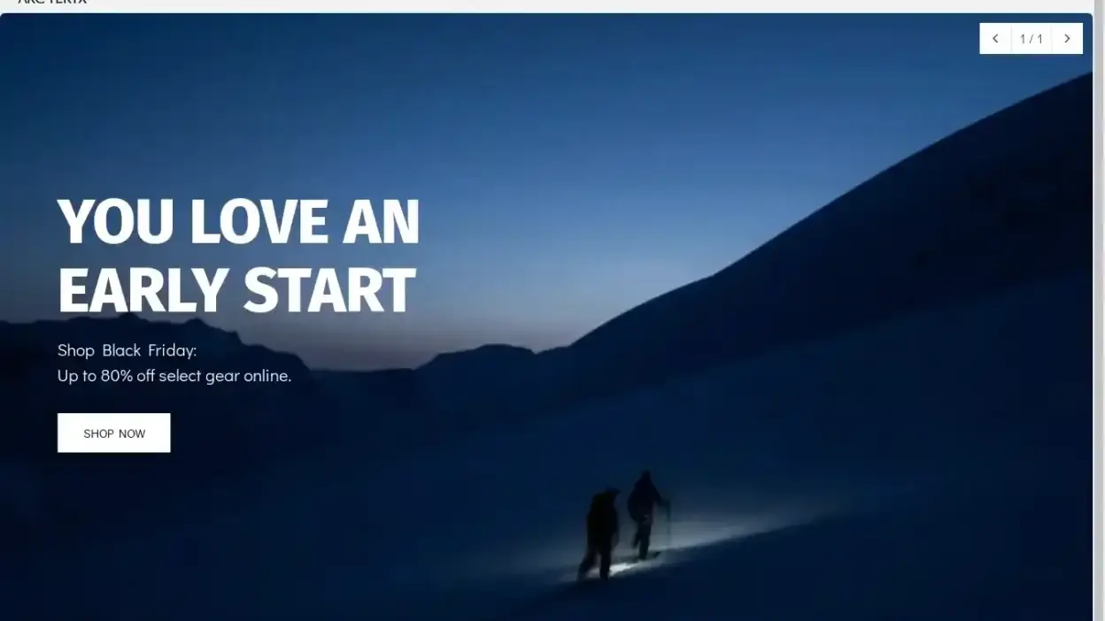 Screenshot of Non-Delivery scam website Arcteryxsale.com