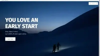 Screenshot of Non-Delivery scam website Arcteryxsale.com