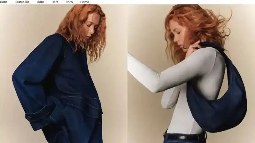 Screenshot of Non-Delivery scam website Arketsalese.com